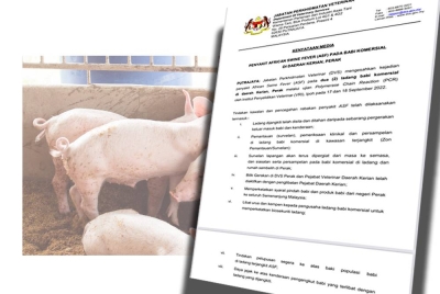 Kenyataan media dikeluarkan Jabatan Perkhidmatan Veterinar pada Isnin.