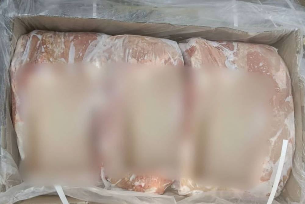 Sebanyak 55 tan daging kerbau tanpa tulang sejuk beku dari India telah dirampas Maqis di Pelabuhan Kuantan di sini pada pagi Selasa.