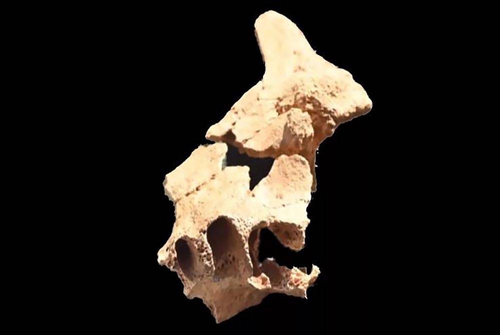 Tulang-tulang ditemukan di dalam gua di tapak penggalian Sierra de Atapuerca berhampiran Burgos pada akhir Jun. Foto: Livescience.com