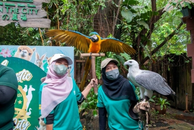 Pengunjung boleh bermesra dengan burung yang terdapat di FITC, Seri Kembangan, Selangor.