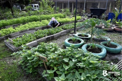 Kerajaan perlu menambah peruntukan dan meneruskan bantuan geran Agroprenuer Muda menerusi Bajet 2023. - Foto Bernama