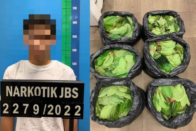 Seorang remaja yang menjadi tauke ketum sejak dua bulan lalu diberkas dan 201 kilogram (kg) daun ketum.