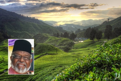 Usaha tanah-tanah terbiar sebagai ladang bagi pengeluaran sayur-sayuran dan buah-buahan tempatan. Foto 123RF, gambar kecil: Syed Abd Rahman