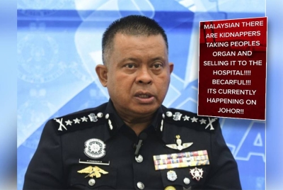 Kamarul Zaman - Foto Bernama (Gambar kecil: Tangkap layar kenyataan yang sedang tular di aplikasi Tik Tok ketika ini)