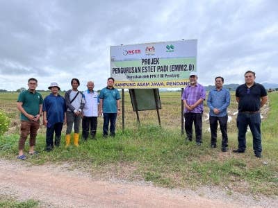 NCIA bekerjasama dengan ANM untuk mencuba penanaman Varieti Padi IS21 pada musim 1/2022 dan musim 2/2022 di tapak projek EMM 2.0 di Kampung Asam Jawa.
