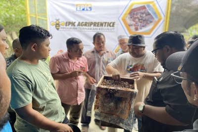 Peserta EPIC Agriprentice Program Ternakan Kelulut sedang diberi penerangan tentang ternakan kelulut.