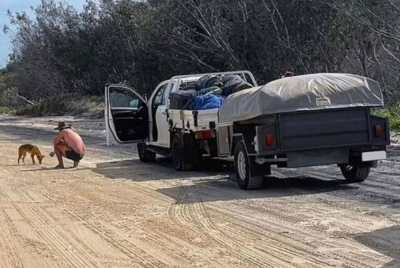 Seorang pelancong memberi makan kepada seekor anjing liar di Pulau K'gari yang menyebabkan dia didenda baru-baru ini. - Foto Queensland Department of Environment and Sciences/news.com.au