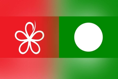 Bersatu Perlis anggap Pas sebagai ‘abang’ dan sedia beri sokongan.