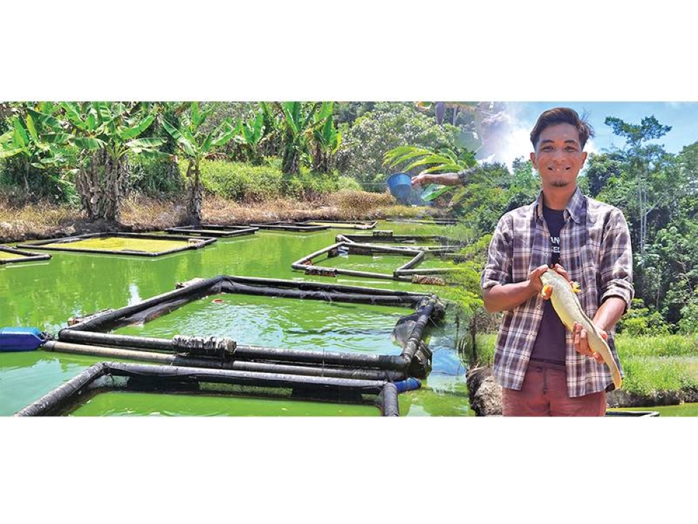 Platform yang disediakan PLKPK turut membuka peluang kepada Razin Naif menjadi pengusaha ternakan keli yang berjaya.