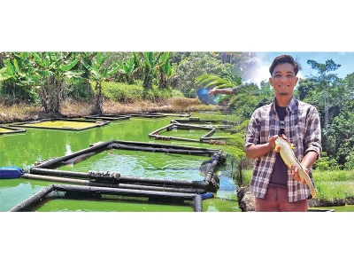 Platform yang disediakan PLKPK turut membuka peluang kepada Razin Naif menjadi pengusaha ternakan keli yang berjaya.