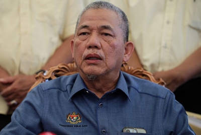 Datuk Seri Fadillah Yusof - Foto Bernama