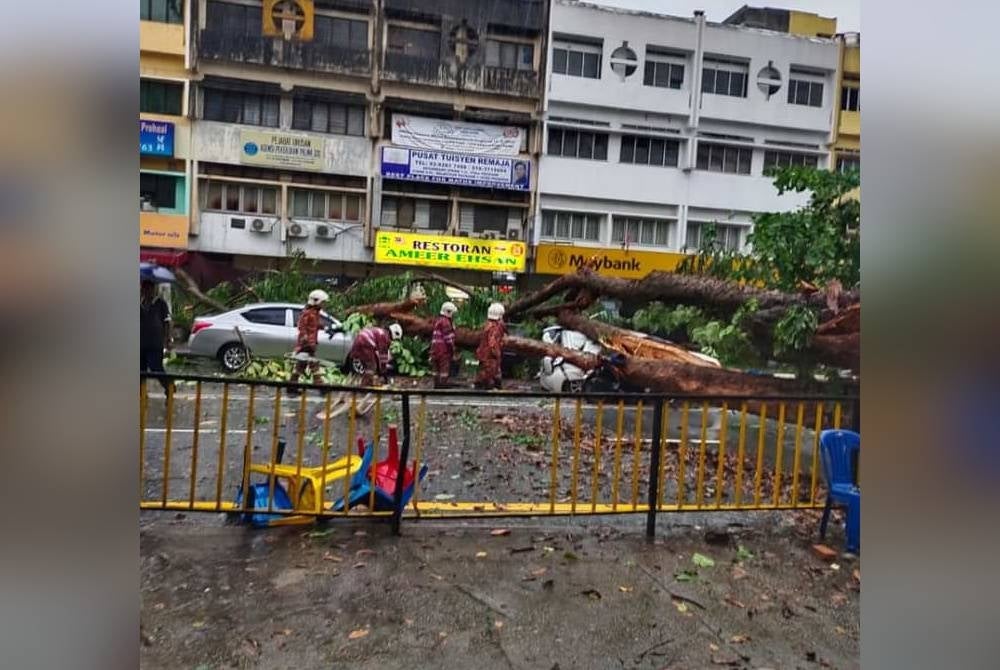 Anggota bomba dan APM sedang menjalankan kerja memotong pokok di lokasi terbabit