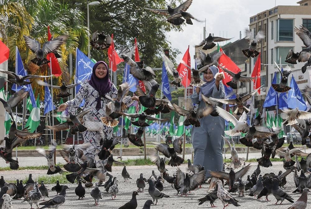 Dua wanita menghabiskan masa bersama sekumpulan burung merpati berlatarkan bendera pelbagai parti yang mula dipasang sempena Pilihan Raya Umum ke-15 (PRU 15) di Kampung Ladang hari ini.
Kempen pilihan raya akan bermula selama dua minggu sehingga tarikh mengundi pada 19 November ini manakala undi awal pada 15 November.
Tujuh kerusi Parlimen di Terengganu iaitu Besut, Setiu, Hulu Terengganu, Kuala Nerus, Kuala Terengganu, Marang dan Kemaman melibatkan pertarungan empat penjuru antara PAS, Barisan Nasional (BN), Pakatan Harapan (PH) dan Pejuang.
Bagi kerusi Parlimen Dungun menjadi satu-satunya kerusi melibatkan pertarungan lima penjuru apabila calon bebas tunggal turut bertanding pada pilihan raya kali ini.