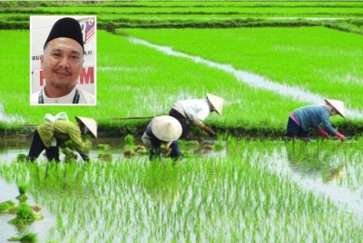 Calon Pejuang berhasrat untuk membawa suara pesawah ke peringkat Parlimen untuk terus membela nasib mereka. Gambar kecil: Abdul Rashid