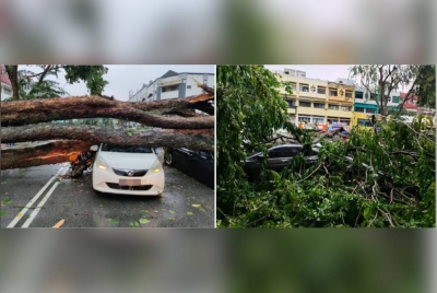 Salah sebuah kereta yang dihempap pokok dalam kejadian hujan lebat dan angin kencang di Jalan Mahkota, Cheras pada Ahad.