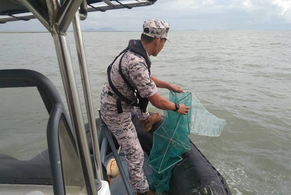 Salah seorang anggota Maritim Malaysia Pulau Pinang merampas bubu naga yang dijumpai di Penaga pada Ahad.