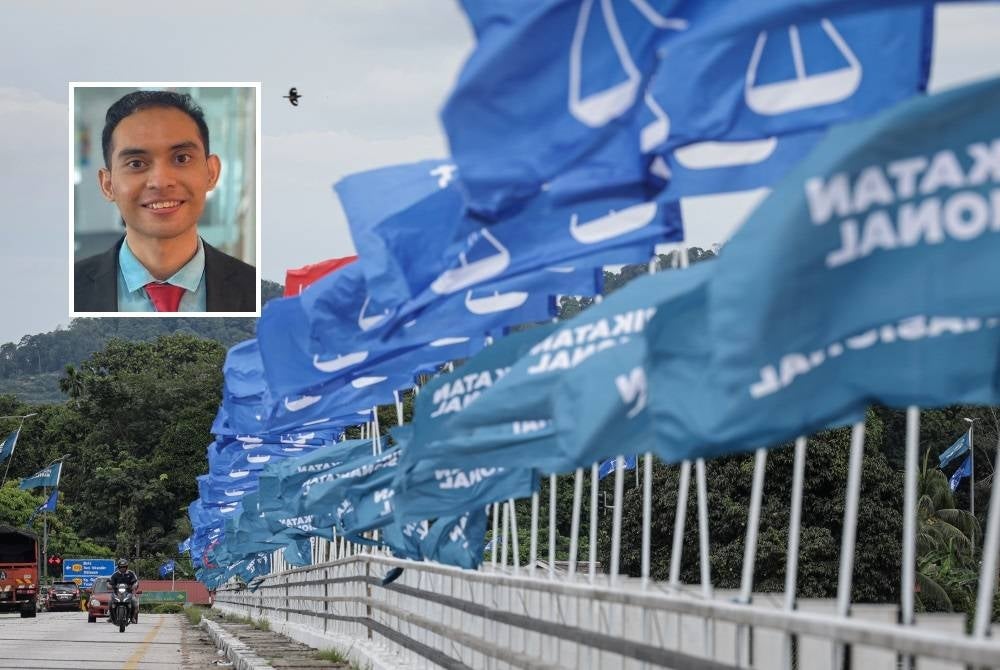 Deretan bendera parti politik menghiasi jalan sempena PRU15. Gambar kecil: Anis Anwar Suhaimi