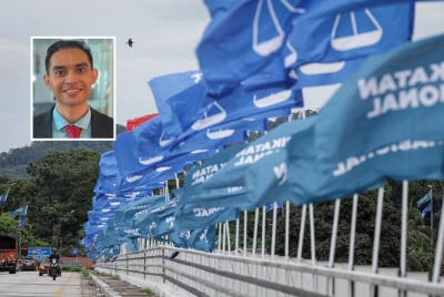 Deretan bendera parti politik menghiasi jalan sempena PRU15. Gambar kecil: Anis Anwar Suhaimi
