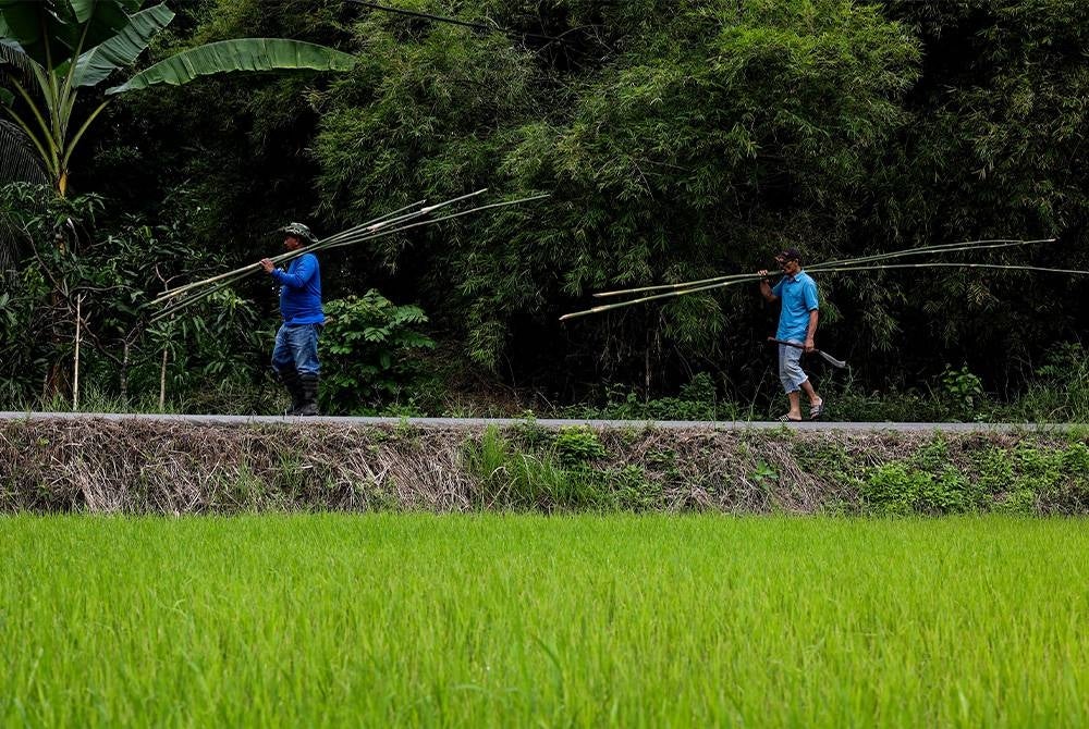 Ghazali (kiri) memenuhi permintaan sekali gus memperolehi pendapatan tambahan kira-kira RM5,000 sempena Pilihan Raya Umum Ke-15 (PRU15) di sini. - Foto Bernama
