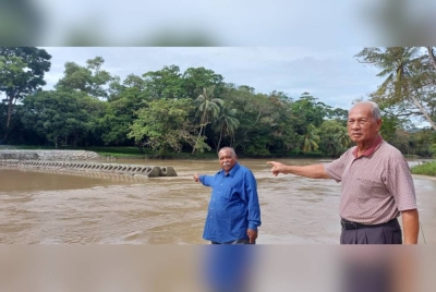 Salleh Chin (kiri) dan Hashim Mat (kanan) menunjukkan sekatan banjir di Pengkalan Asam, Kangar yang didakwa menyebabkan petak sawah mereka ditenggelami air.