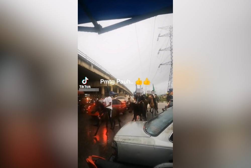 Tangkap layar video sekumpulan lelaki menunggang kuda sambil membawa bendera.