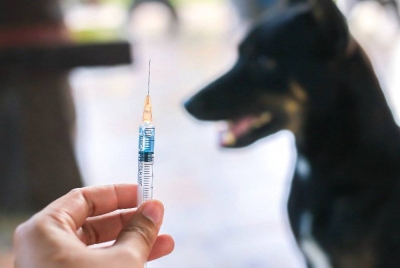 Gambar hiasan - Foto 123RF