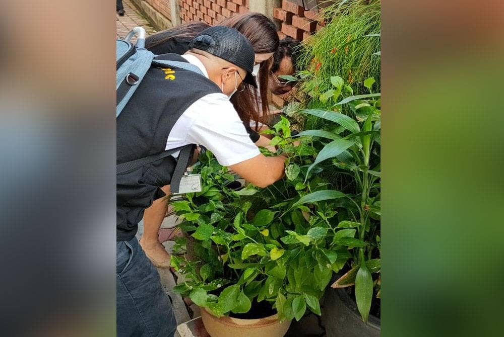 Kakitangan Jabatan Kesihatan Melaka memeriksa tempat pembiakan jentik-jentik disalah sebuah hotel semasa Op Hotel pada Selasa dan Rabu lepas. - Foto Facebook Jabatan Kesihatan Melaka