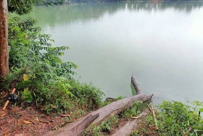 Gambar di lokasi ketika pemantauan dilakukan kakitangan Perhilitan Selangor pada Isnin.