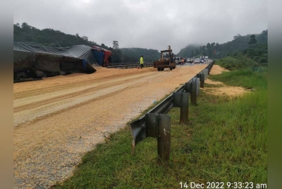 Laluan KM 180 LPT1 arah barat ditutupi tumpahan dedak jagung selepas treler membawa muatan itu terbabas dalam kejadian awal pagi Rabu. - Foto FB Lebuhraya Pantai Timur