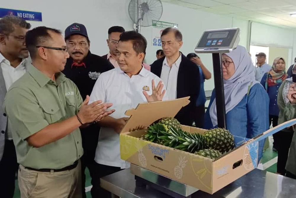 Zahari melihat proses pembungkusan buah nanas sebelum menyempurnakan pelepasan eksport nanas MD2 ke Jerman di Ladang Nanas Kulim di Ulu Tiram, Johor Bahru, pada Khamis.