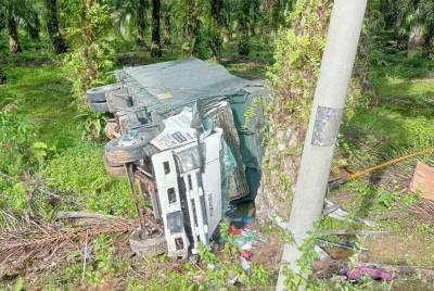 Keadaan lori dinaiki mangsa yang terbalik selepas terbabas melanggar pokok kelapa sawit di KM8, Jalan Sungai Koyan-Raub di sini pada Khamis.