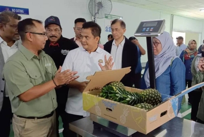 Zahari melihat proses pembungkusan buah nanas sebelum menyempurnakan pelepasan eksport nanas MD2 ke Jerman di Ladang Nanas Kulim di Ulu Tiram, Johor Bahru, pada Khamis.