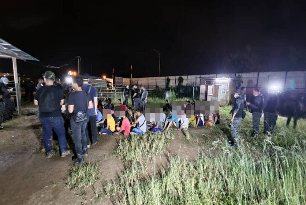Serbuan di penempatan haram warga asing di Dengkil, Selangor berjaya menahan 48 PATI.