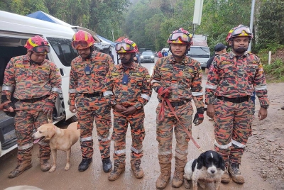 Pasukan bomba bergambar bersama anjing K9 milik mereka yang diberi nama Grouse (kanan) dan Denti.