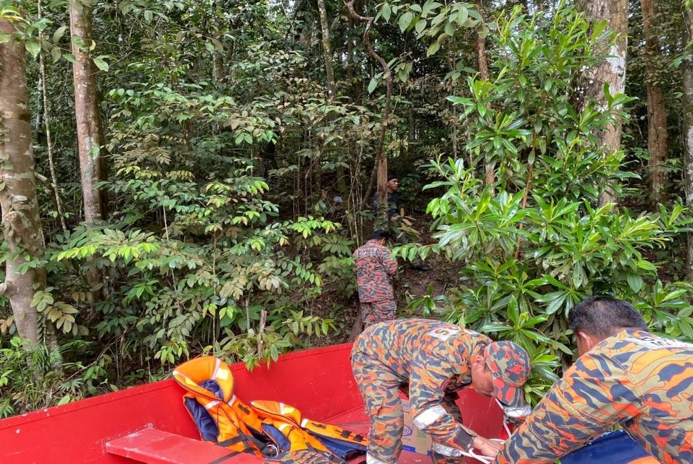 Usaha pencarian lelaki berkenaan di kawasan sekitar Gunung Pulai diteruskan pada Isnin. - Foto Bomba Johor
