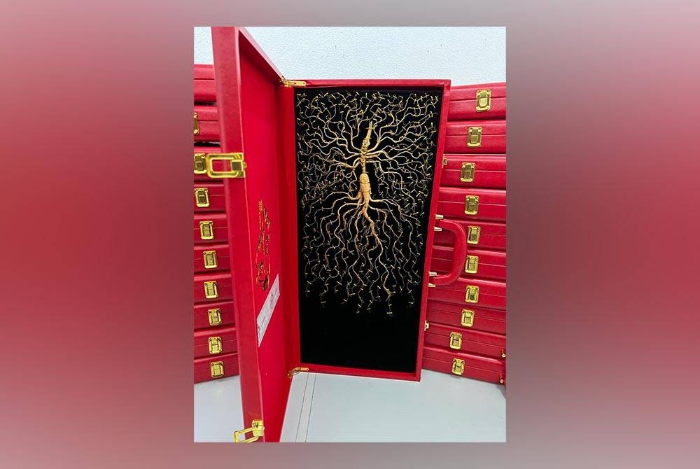 Antara kotak gingseng yang dirampas oleh Maqis di Pejabat Pos Malaysia Simpang Ampat, pada Rabu lalu.