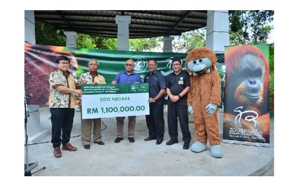 Pengurus Besar MPOGCF, Zamakhshari Muhamad (dua dari kanan) bergambar bersama warga MPOGCF dan Zoo Negara pada Majlis Penyerahan Cek Penajaan MPOGCF bagi menaik taraf Pameran Orang Utan Borneo di Pusat Ape di Zoo Negara pada Sabtu.