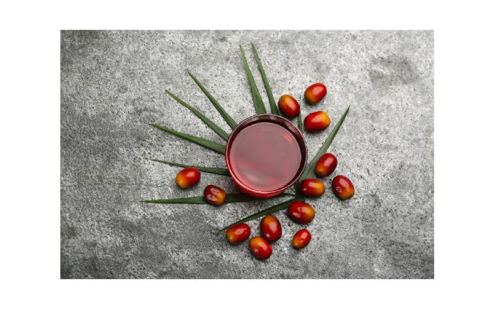 Kajian saintifik yang diterbitkan menunjukkan bahawa minyak sawit selamat digunakan untuk menggoreng.