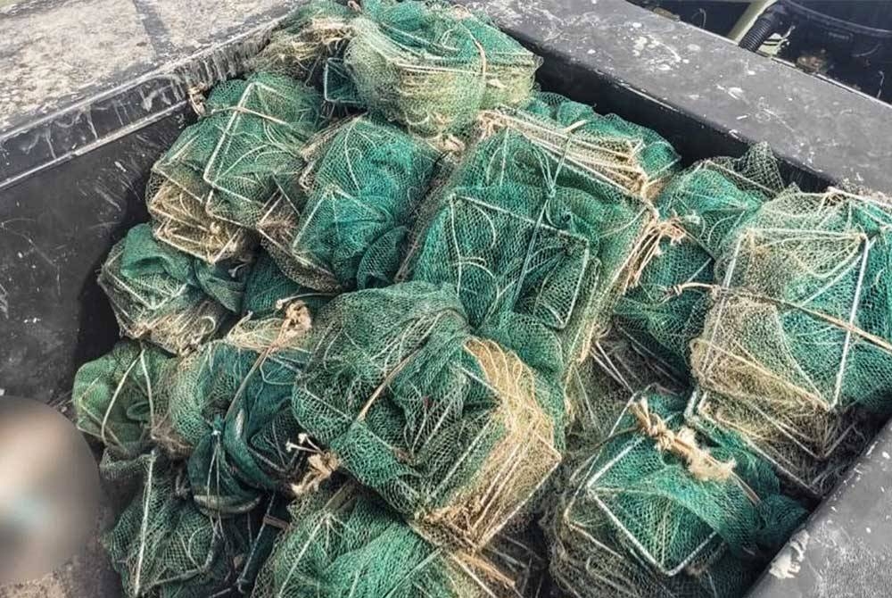 Antara bubu naga yang dirampas dan dibawa pulang ke Jeti Zon Maritim Kuala Kedah untuk siasatan lanjut.