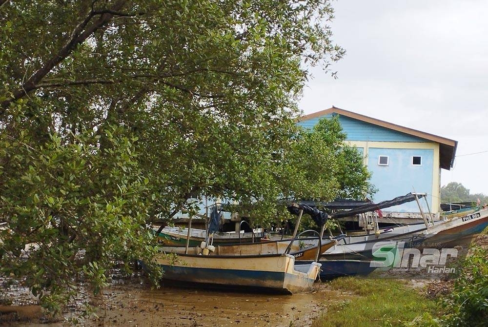 Banyak bot nelayan sudah didaratkan di tebing jeti Sungai Miang di sini.