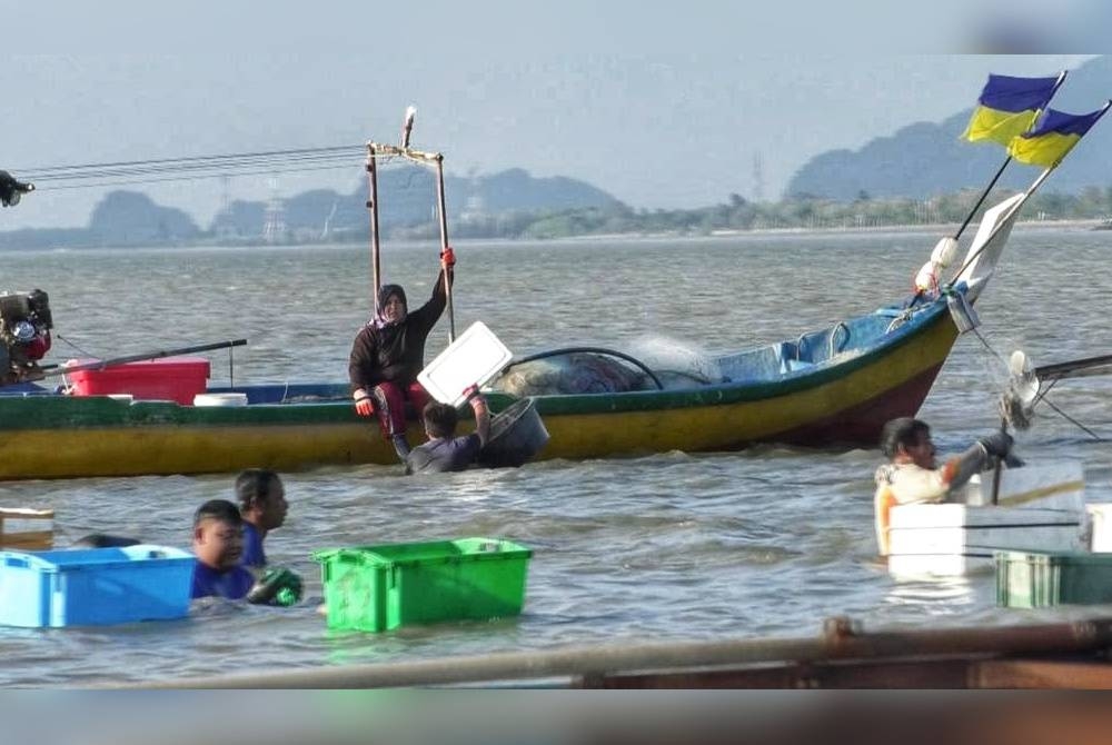 Fenomena di Kuala Sungai Baru ketika musim peralihan monsun.