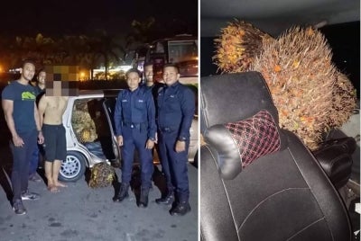 Suspek curi kelapa sawit yang diangkut menggunakan kereta jenis Perodua Kancil di Kampung Membalua, Tawau.