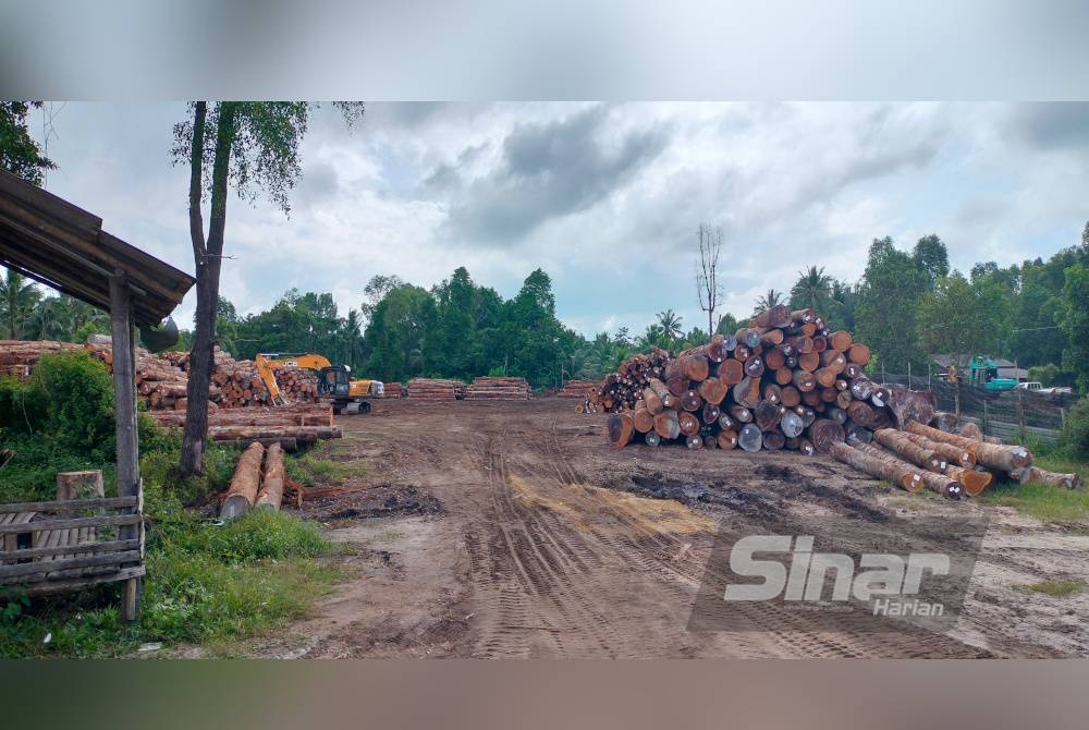 Tapak pengumpulan balak di Kampung Bukit Palas.