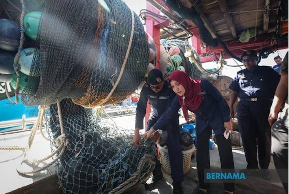 Pejabat Perikanan Negeri Pulau Pinang melalui Pangkalan Perlindungan Sumber Batu Maung telah menahan dan menyita empat vesel pukat tunda tempatan. - Foto Bernama
