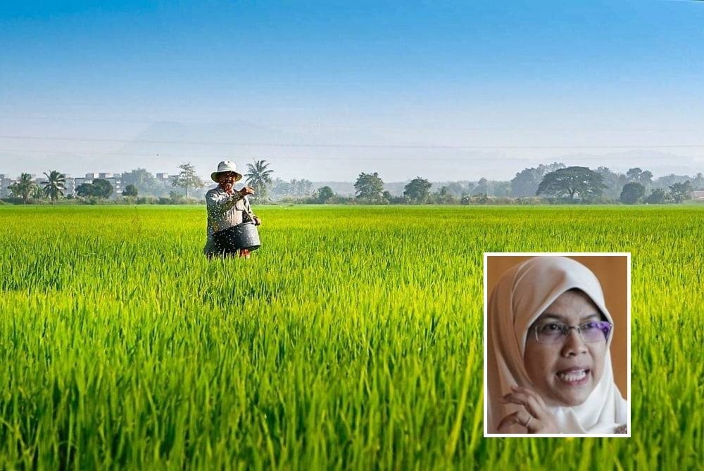 Penyaluran peruntukan khas daripada Bernas berjumlah RM60 juta dilaksanakan secara berperingkat. - Gambar hiasan (Gambar kecil: Rodziah)