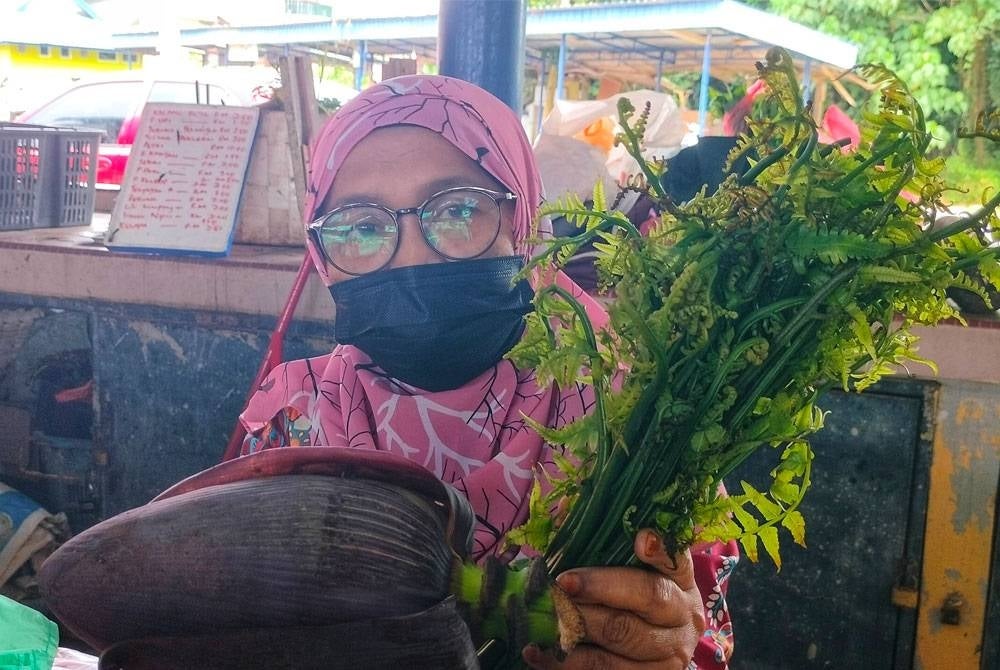 Nurlaila bersama sayur kampung yang dijual.