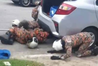 Anggota bomba menjalankan kerja-kerja mengeluarkan dan menangkap ular yang berada di bawah sebuah kereta dalam kejadian di Puchong Hartamas, pada Sabtu.