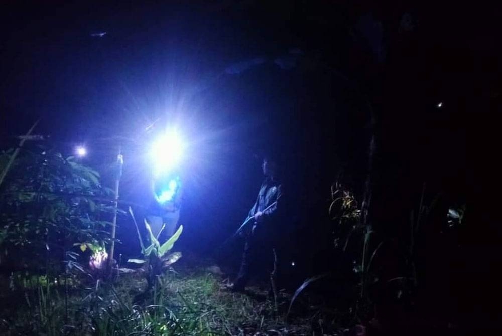 Perhilitan Kelantan memasang 24 lampu diod pemancar cahaya (LED) biru di kawasan sekitar perkampungan terbabit