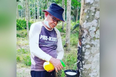 Othman berharap kerajaan menyelesaikan segera masalah penoreh getah yang berdepan masalah pendapatan.