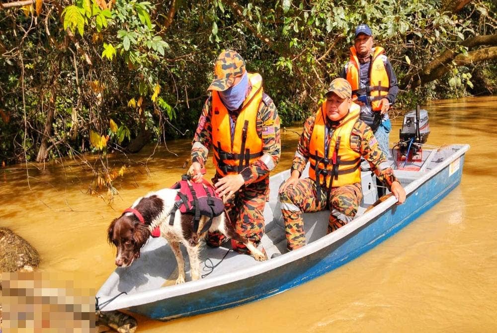 Unit Anjing Pengesan (K9) antara yang terlibat dalam operasi SAR lelaki yang dikhuatiri lemas pada Sabtu lalu dan ditemukan pada Isnin. - Foto ihsan JBPM Pahang
